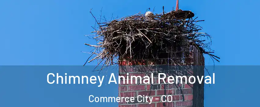  Chimney Animal Removal Commerce City - CO