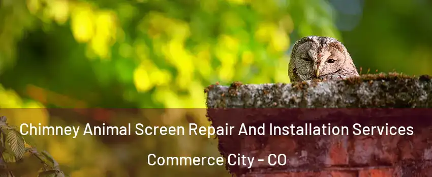  Chimney Animal Screen Repair And Installation Services Commerce City - CO
