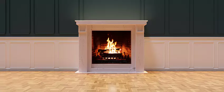 Napoleon Electric Fireplaces Inspection Service in Commerce City, Colorado