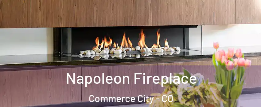  Napoleon Fireplace Commerce City - CO